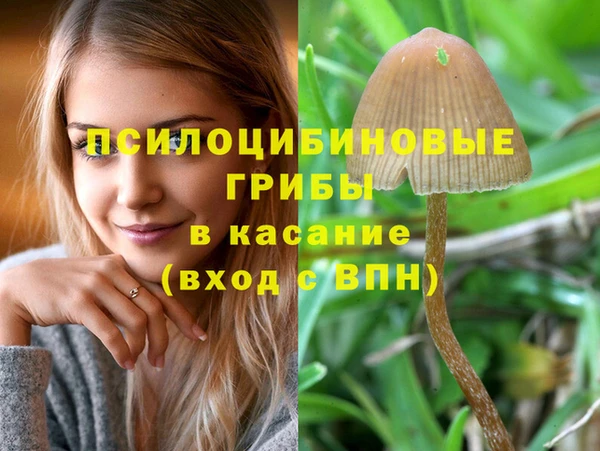 спайс Заводоуковск