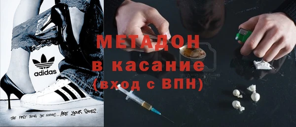 прущие грибы Зерноград