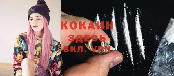 прущие грибы Зерноград