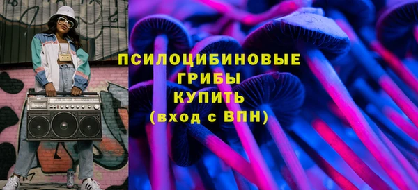 прущие грибы Зерноград
