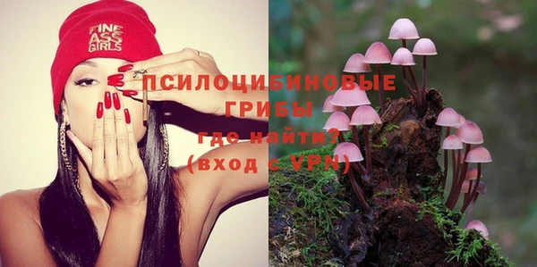 прущие грибы Зерноград